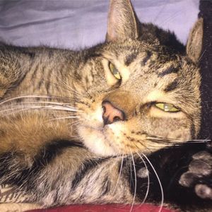 Meet your Posher, Tara